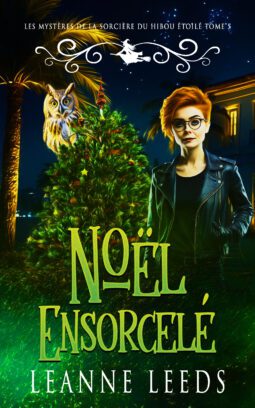 Noël Ensorcelé