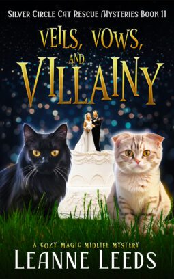 Veils, Vows, and Villainy