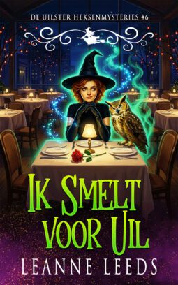 Boekomslag van 'Smelten van Plezier' door Leanne Leeds. Een illustratie van een vrouw met donker haar in een besneeuwde straat bij nacht, die een roze geschenkverpakking en een kleine uil vasthoudt.