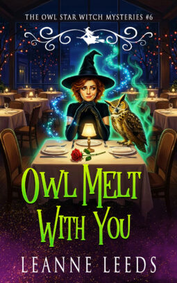 Book cover for 'Owl Melt with You' by Leanne Leeds. An illustrated woman with dark hair stands in a snowy, winter street at night, holding a pink gift box and a small brown owl. A red car is parked behind her in the snow.