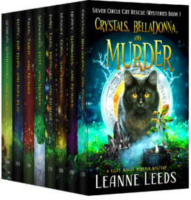 Silver Circle Bundle